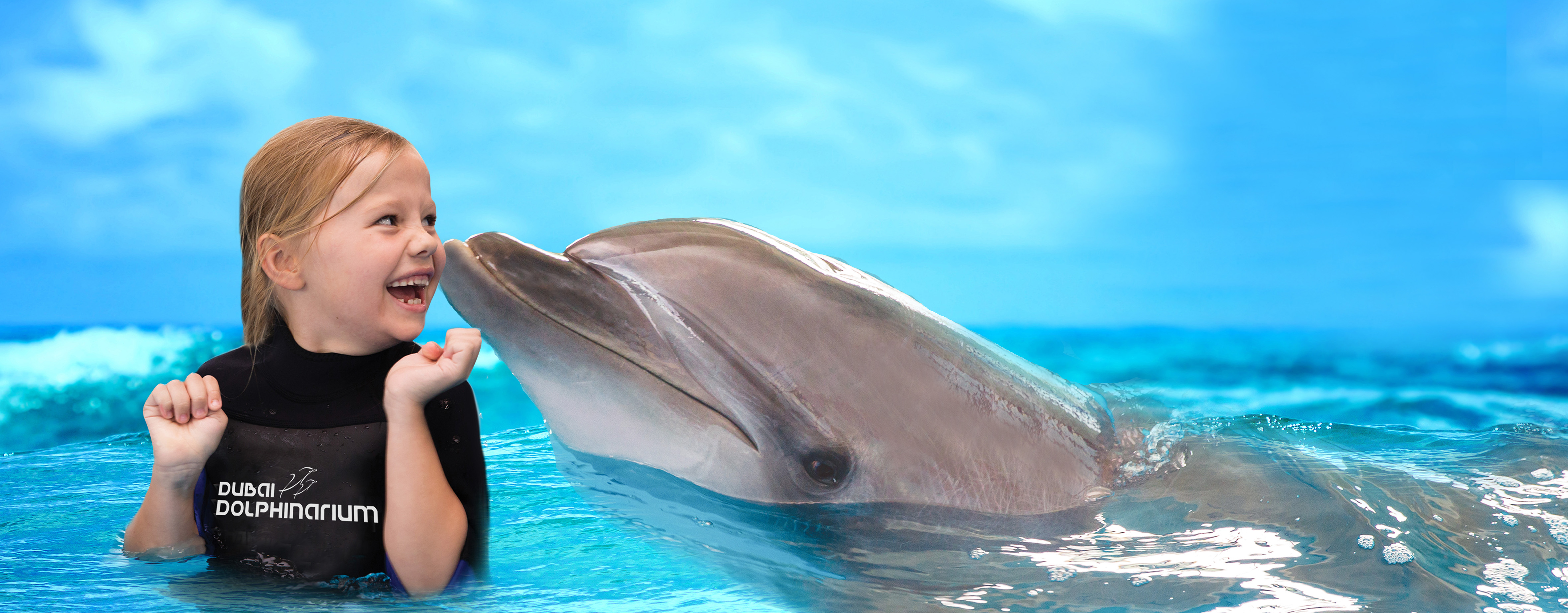 dubai-dolphinarium-dolphin-and-seal-show5