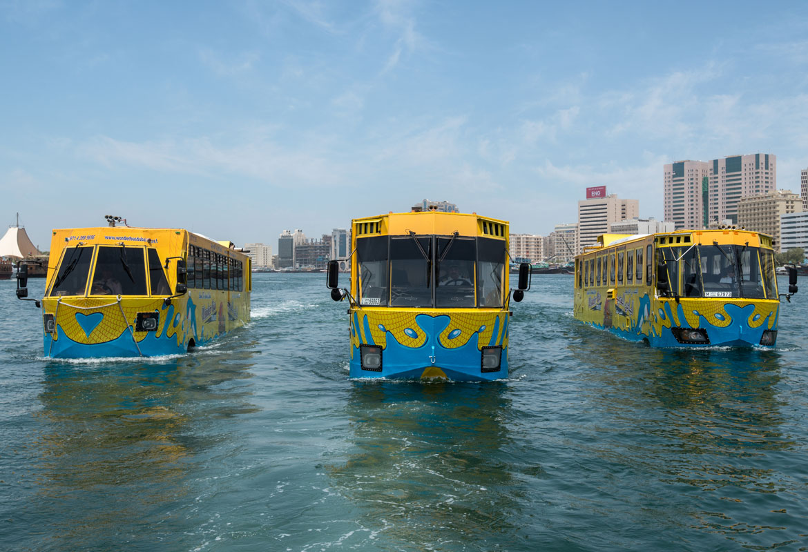 Wonder Bus Lilas Tourism